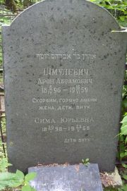 Шмулевич Арон Абрамович, Москва, Востряковское кладбище